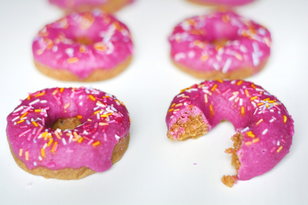 the-simpsons-raw-donuts-gluten-free-paleo-raw-vegan-4